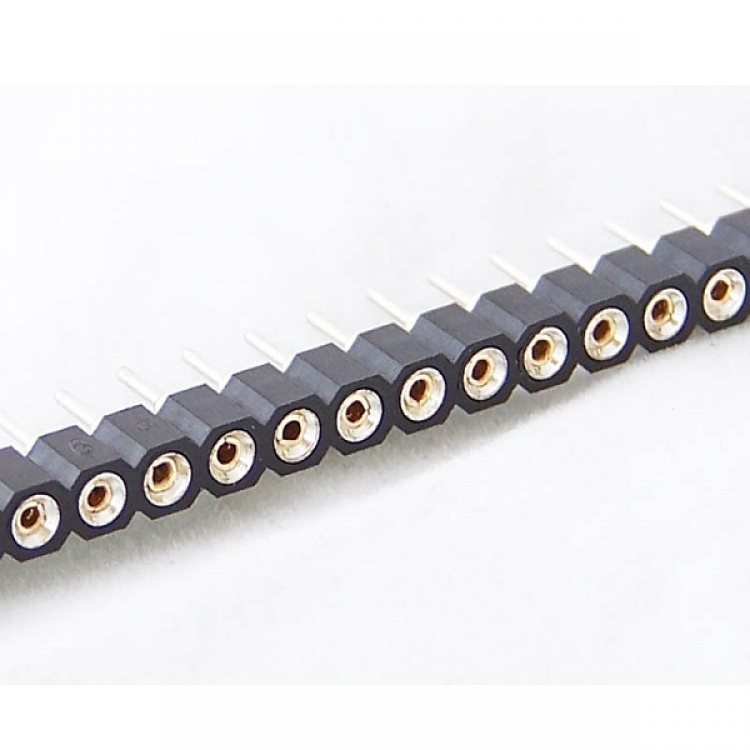 40 Pin 2.54mm Snappable Female Header