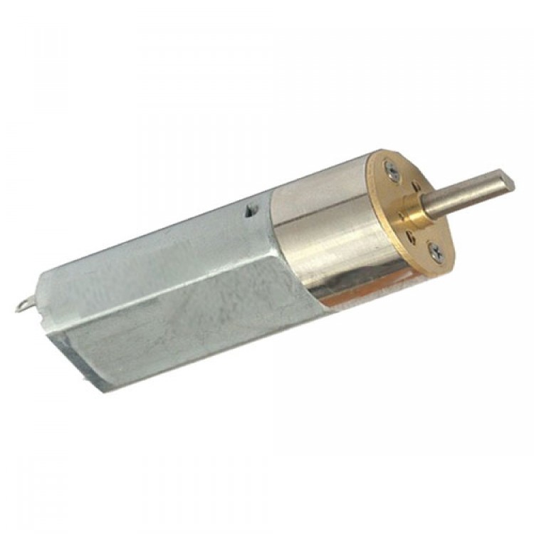 12V 300 RPM DC Gear Motor