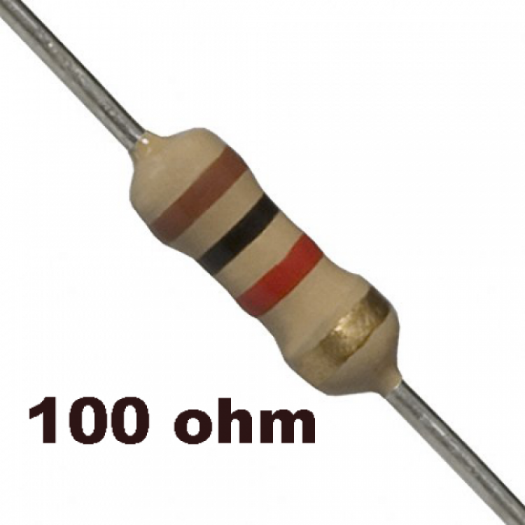 100 Ohm 1/4W Resistor